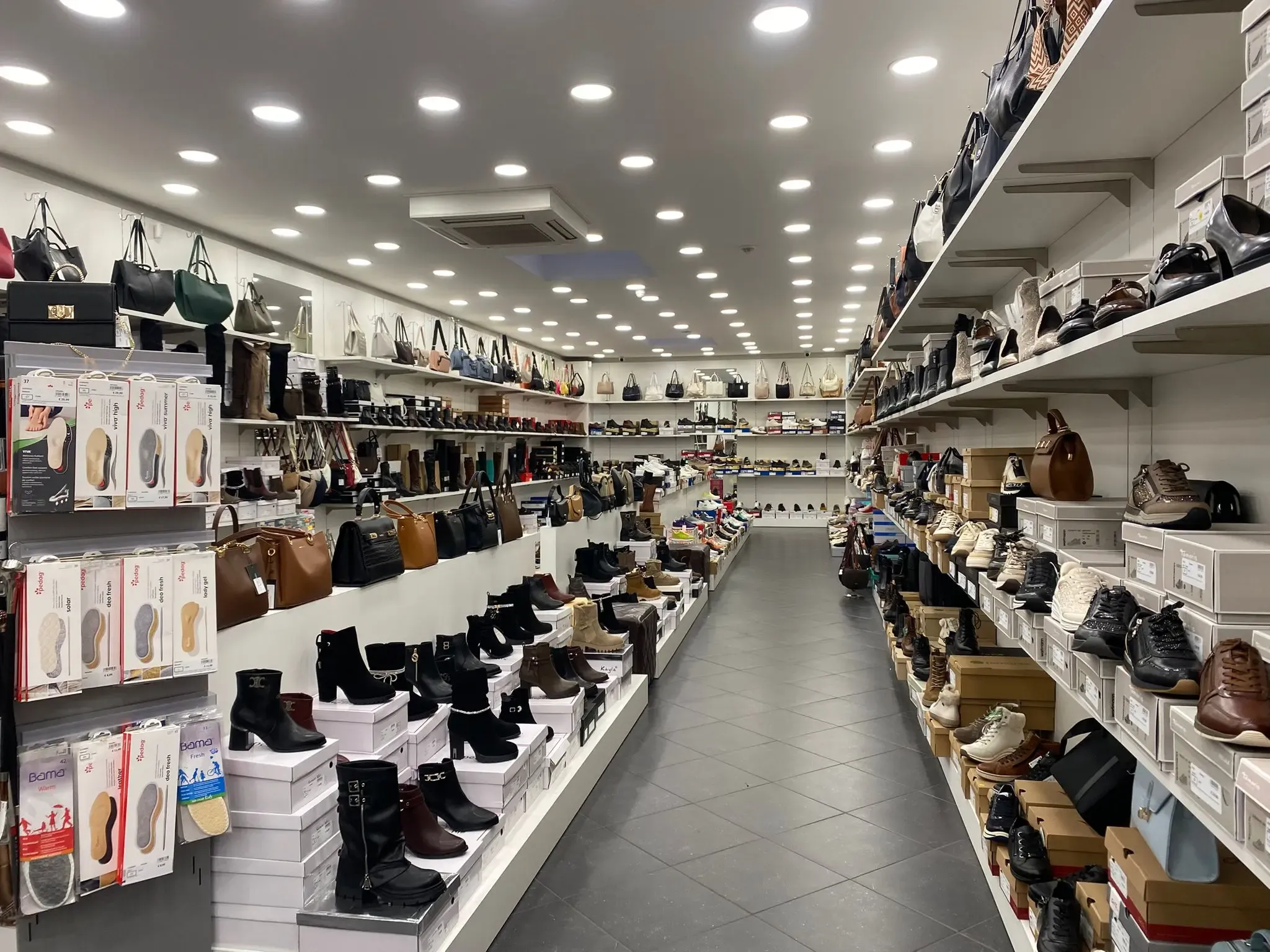 Vasco Anderlecht Interior